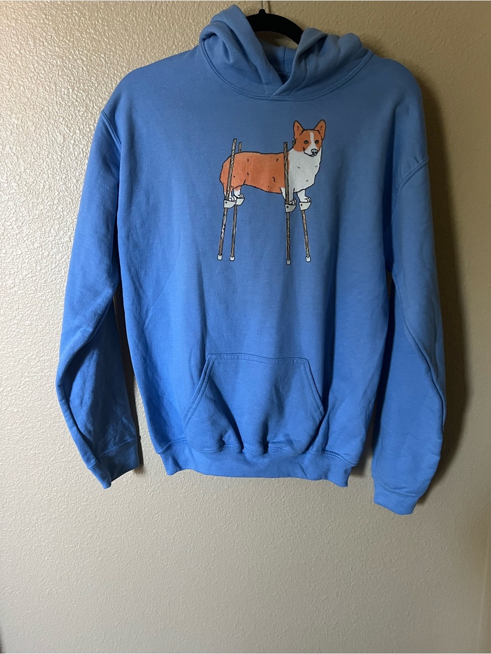 Light Blue Corgi Graphic Hoodie Sweatshirt - teenager xl